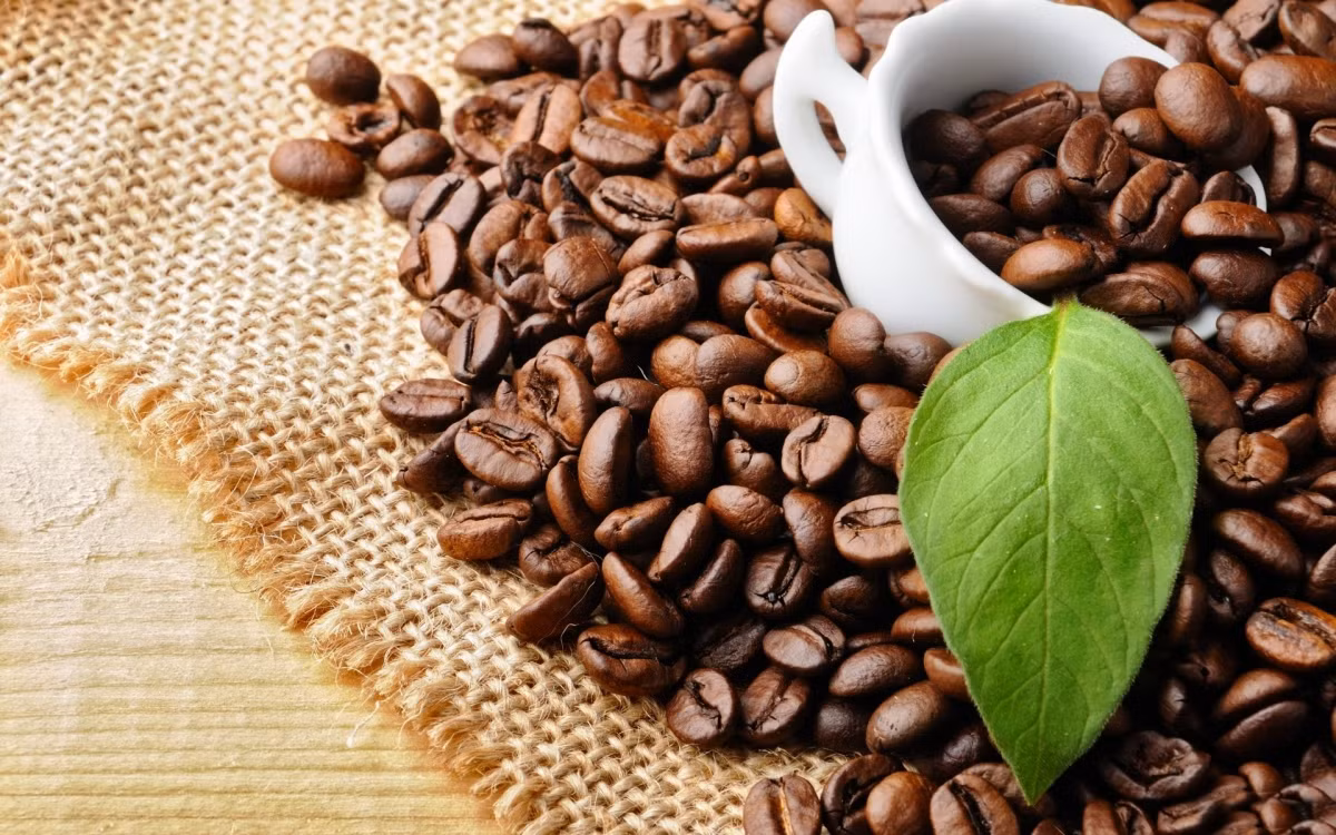 Nếu như bạn uống đều đặn 4 cốc hạt cà phê xay mỗi ngày sẽ giảm được nguy cơ đái tháo đường. Ảnh: Conlatatca. 