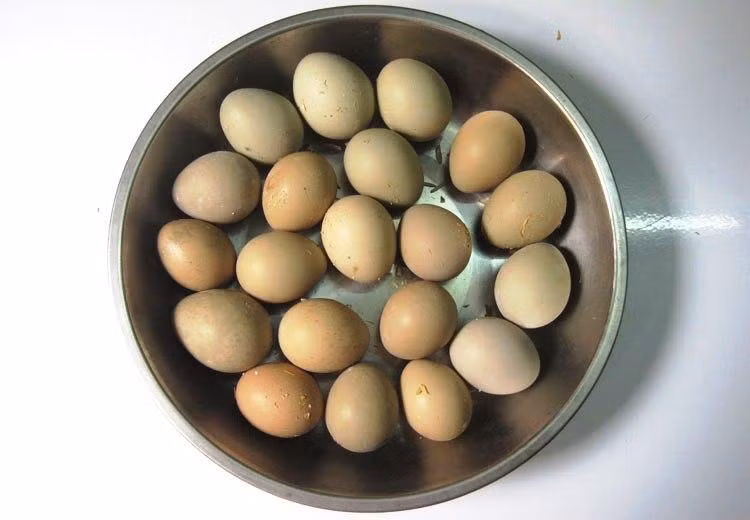 Dưới đây là 3 bài thuốc chữa bệnh từ trứng chim trĩ bạn có thể áp dụng tại nhà.