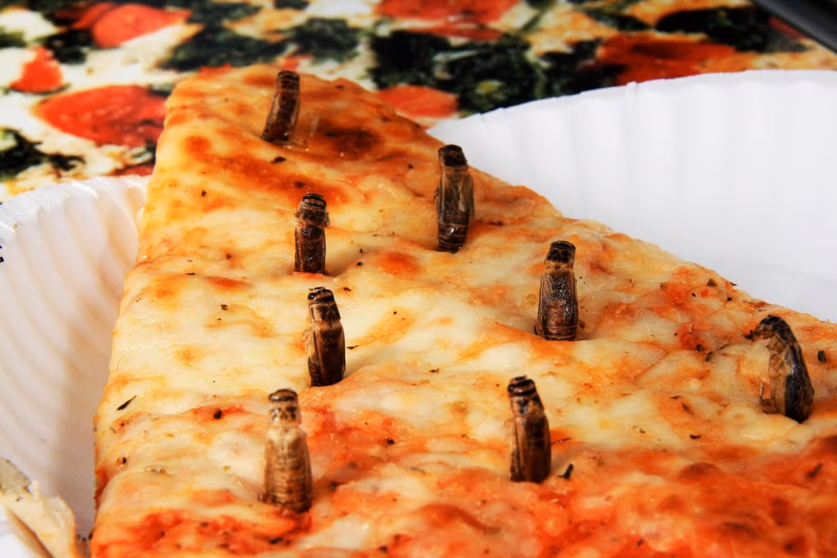 Còn đây là bánh pizza dế mèn chiên. Ảnh: Besti.