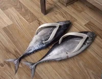 Đôi dép xỏ ngón phong cách cá ngừ.
