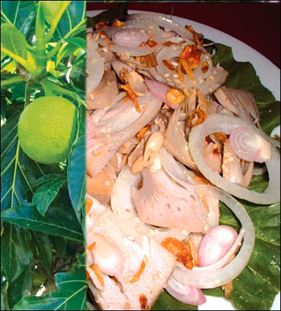 Cuối cùng pha đường, chanh tạo vị chua ngọt nhẹ, tiêu muối trộn cùng dầu, hành phi rồi trộn đều sa kê, thịt gà, rau, hành tây. Thế là có món ăn bổ dưỡng, ngon tuyệt. Ảnh: Megafun.