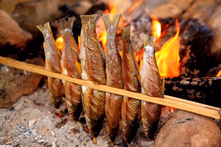 Cá sông Đà, Hòa Bình nướng nổi tiếng là loại đặc sản miền núi ngon. Mùi thơm của cá nướng sông Đà rất đặc biệt, tươi ngon mà còn thoang thoảng hương chuối, hương tre của rừng và vị đậm đà đơn sơ của muối.