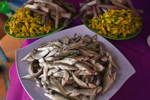 Lẩu cá linh bông điên điển là món ngon đặc sản Đồng Tháp ai cũng muốn một lần được nếm thử.