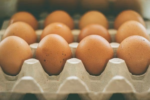 Trứng gà chứa 2 chất chống oxy hóa lutein và zeaxanthin. Hai dưỡng chất này mang đến nhiều lợi ích cho thị lực của bạn. Ảnh: harvard.