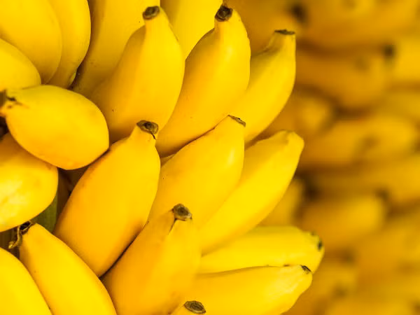  2. Chuối: Chuối có chứa tyrosine và flavonoid có tên là quercetin. Cả hai chất này giúp sản sinh ra dopamine. Ngoài ra, chuối cũng chứa nhiều vitamin giúp duy trì sức khỏe của bộ não.