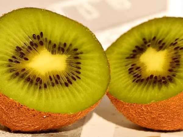 10. Kiwi: Kiwi không chỉ giúp giảm triglycerides (chất béo trung tính), tăng nồng độ cholesterol có lợi và giảm kháng insulin mà còn giúp giảm kích thước tế bào mỡ. Kiwi chứa vitamin C giúp thải độc tố trong cơ thể, chất xơ trong loại quả này giúp hỗ trợ tiêu hóa. Nên ăn ít nhất 1 quả kiwi mỗi tuần hoặc uống sinh tố, nước ép hay thêm vào các món salad. 