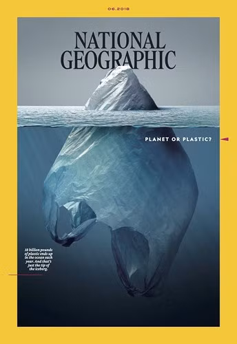 Trang nhất tạp chí National Geographic số ra tháng 6 tới có hình ảnh một chiếc túi nilon cùng dòng cảnh báo "nhựa hay hành tinh?" ám chỉ tác hại ghê gớm của nhựa đối với môi trường, ví như “sát thủ” tận diệt môi trường.