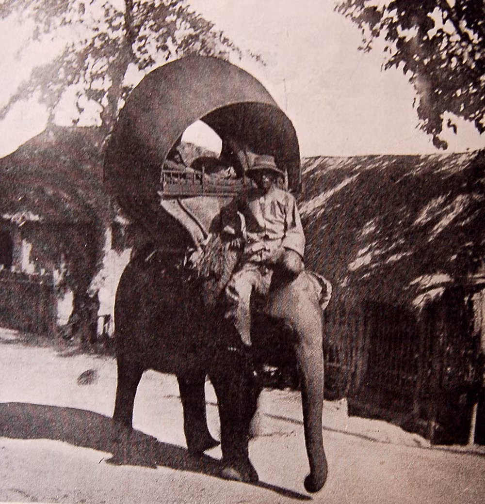 Voi chở khách trên đường phố Phnompenh.