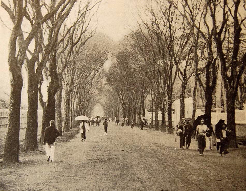 Một con đường ở Sài Gòn năm 1901.