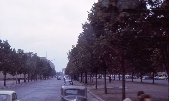 Đại lộ Unter den Linden với những hàng cây xanh hai bên đường ở Đông Berlin trong bức ảnh chụp hồi đầu thập niên 1960.