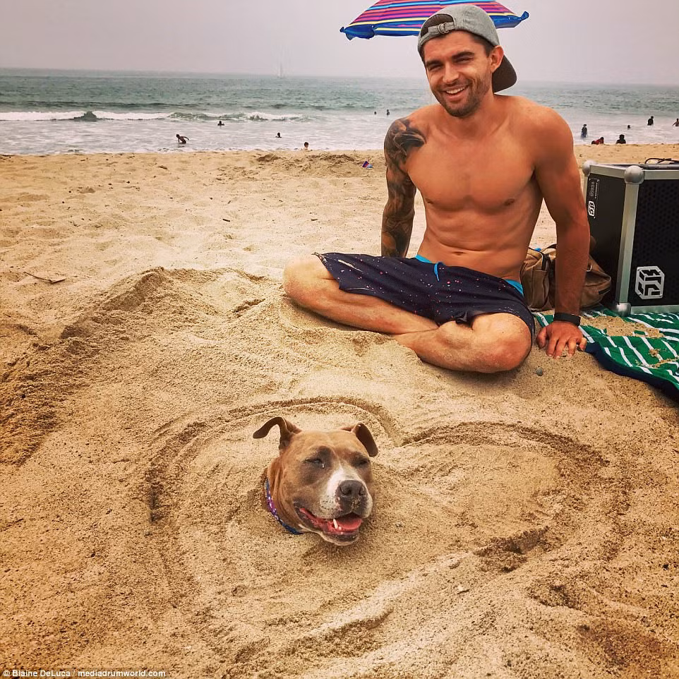 Blaine DeLuca chia sẻ: "Tôi không phóng đại nhưng thực sự khi mới nhận nuôi, Penny dường như sợ hãi mọi thứ. Lúc đó, tôi lại đang sống ở thị trấn New Jersey - một nơi rất ồn ào và náo nhiệt - nên hàng ngày chỉ khi trời khuya, đường phố không bóng người, tôi mới dám dẫn Penny đi dạo. Nếu không, chỉ cần nghe thấy tiếng ồn, chú chó sẽ liên tục run rẩy, sợ hãi".