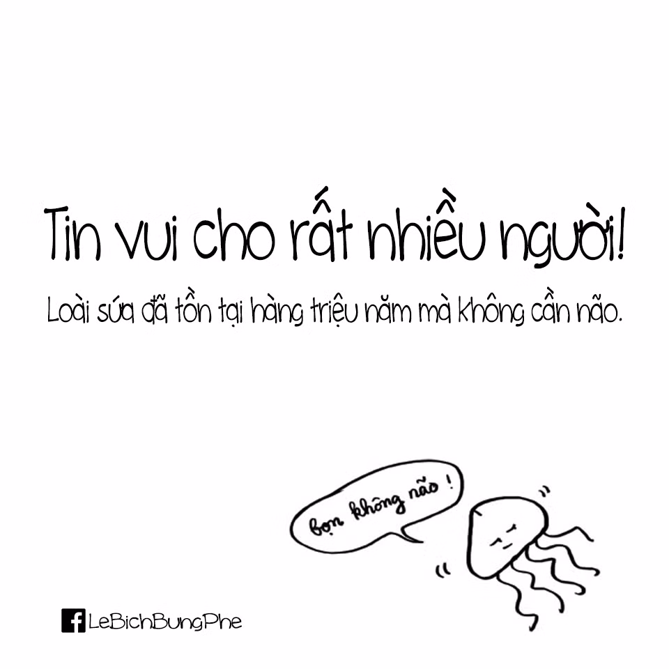 Tranh về Lê Bích bụng phệ có thường chỉ là những nét vẽ rất đơn giản, kèm theo đó là phần nội dung mang nhiều ý nghĩa, tính phát hiện và trên hết là được truyền tải theo cách rất hài hước.