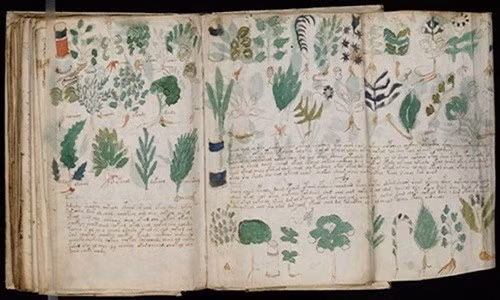 Dày 240 trang, bản thảo Voynich được viết bằng một ngôn ngữ bí ẩn cùng những biểu đồ và hình vẽ thực vật kỳ lạ. Theo kết quả giám định niên đại, các chuyên gia xác định bản thảo này được tạo ra vào khoảng những năm 1404 - 1438 nhưng chưa rõ ai là người đã viết nó.