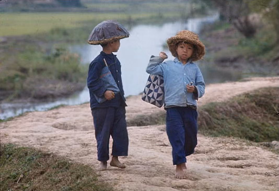 Hai đứa trẻ ở miền Bắc Việt Nam đội mũ rơm, mang sách vở tới lớp học.