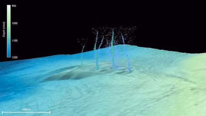 Tạp chí khoa học Science Advances mới đăng tải kết quả nghiên cứu của nhóm chuyên gia về việc phát hiện 4 lỗ thủng dưới đáy biển ngoài khơi bang Oregon, Mỹ. Những lỗ này có kích thước khá nhỏ nhưng liên tục sủi bọt và phun lên những vật chất kỳ lạ.