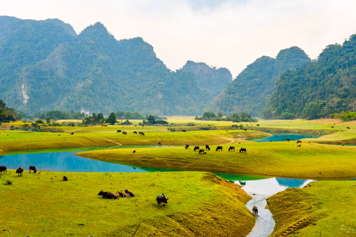 Nhung diem cam trai cach Ha Noi duoi 150km dep nhu trong phim