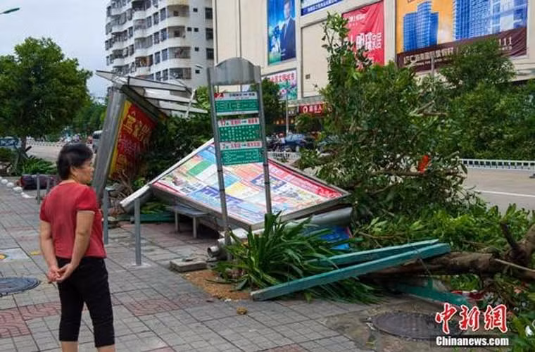  Bão Sarika làm quật đổ những tấm biển quảng cáo ở Hải Nam.