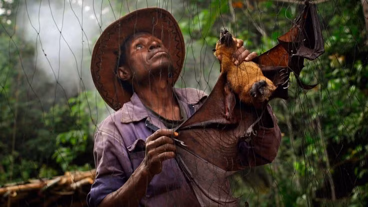 Bộ tộc Yangoru Boiken có thú săn bắt độc đáo.