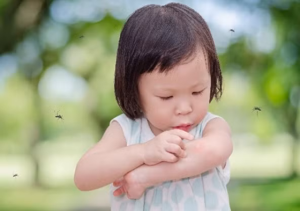 Người ăn nhiều thịt thu hút muỗi hơn? Chuyên gia giải đáp Nguoi an nhieu thit thu hut muoi hon? Chuyen gia giai dap