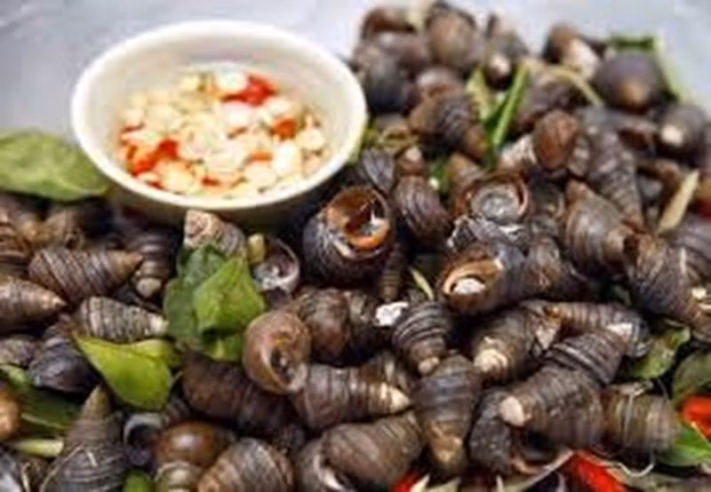 Nếu muốn thưởng thức món ngon từ ốc, bạn nên mua nguyên liệu có nguồn gốc rõ ràng (tránh mua phải ốc sống ở môi trường ô nhiễm), làm sạch nấu thịt ốc chín kĩ để đảm bảo sức khỏe.