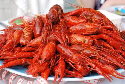 Tương tự ốc, tôm càng có nhiều khe nhỏ, các quán ăn khó có thể làm sạch cùng lúc một lượng lớn, thường chỉ rửa qua loa. Sử dụng chúng làm món ăn, đặc biệt khi tôm chưa chín kĩ được ví như tự nạp kí sinh trùng vào người.