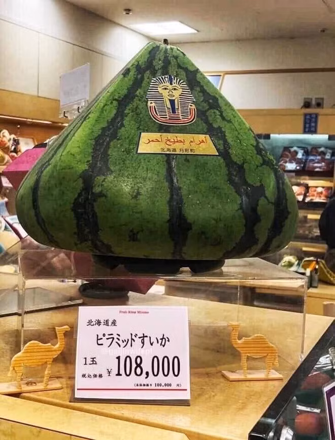 Sieu pham dua hau hinh kim tu thap gia bang ca 7 chi vang