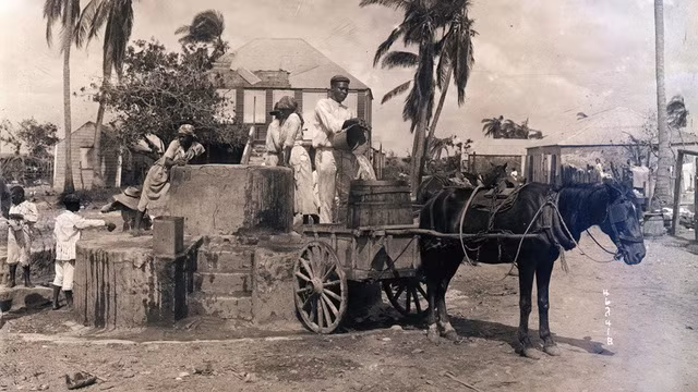 Theo nhà sử học Isaac Dookhan, thương vụ mua bán quần đảo Virgin diễn ra trong bối cảnh cả Mỹ và Đan Mạch đều có những động cơ riêng.