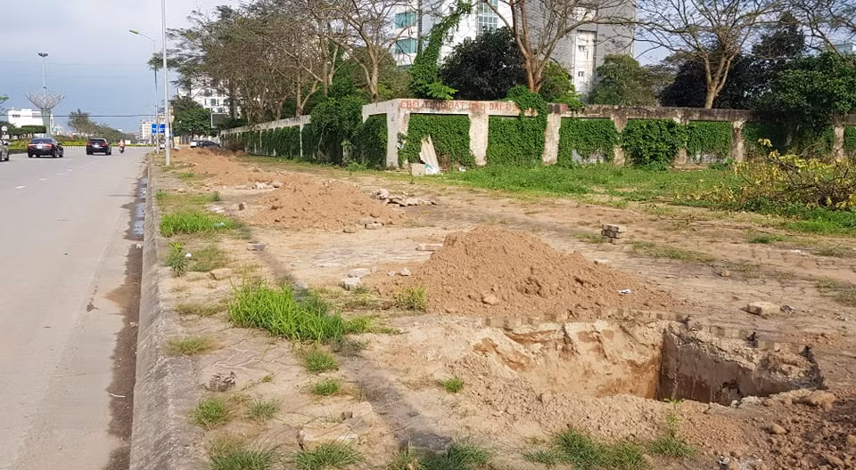 ... Để lại một con phố tạm thời vắng bóng cây xanh.