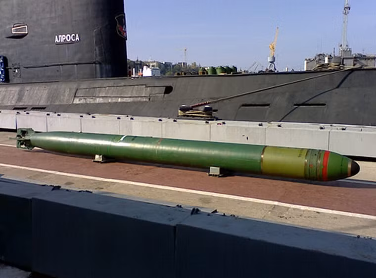 Cuối cùng, ngư lôi Type 53-65 được phóng từ các tàu ngầm Nga được xem là mối đe dọa lớn đối với các chiến hạm nổi của Mỹ. Theo Nationalinterest đánh giá, loại ngư lôi này là loại nguy hiểm nhất mà Hải quân Mỹ có lẽ khó mà đánh chặn được.