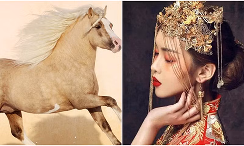 Chưa kể, họ sẽ gặp được mối nhân duyên tốt, nhân duyên này sẽ đem lại nhiều may mắn và tài vận cho tuổi Ngọ trong những năm về sau. Thời gian cuối năm 2021, tuổi Ngọ sẽ nhận được hỷ sự gặp điều mà họ chưa bao giờ nghĩ đến, cuộc sống sẽ thăng hoa đến tầm cao mới đến không ngờ.