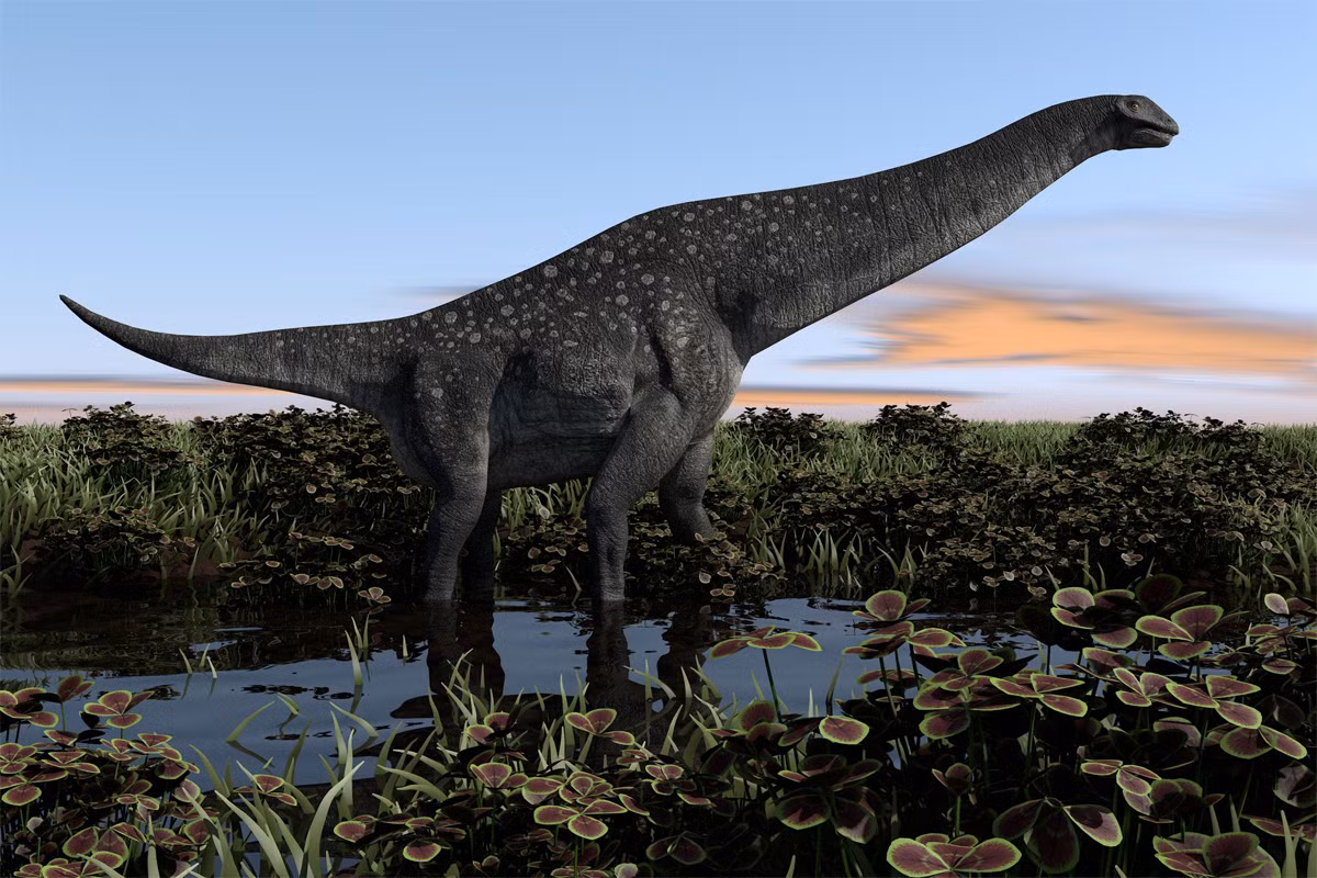 Hình ảnh phục dựng về một loài khủng long thuộc chi Titanosaurus.