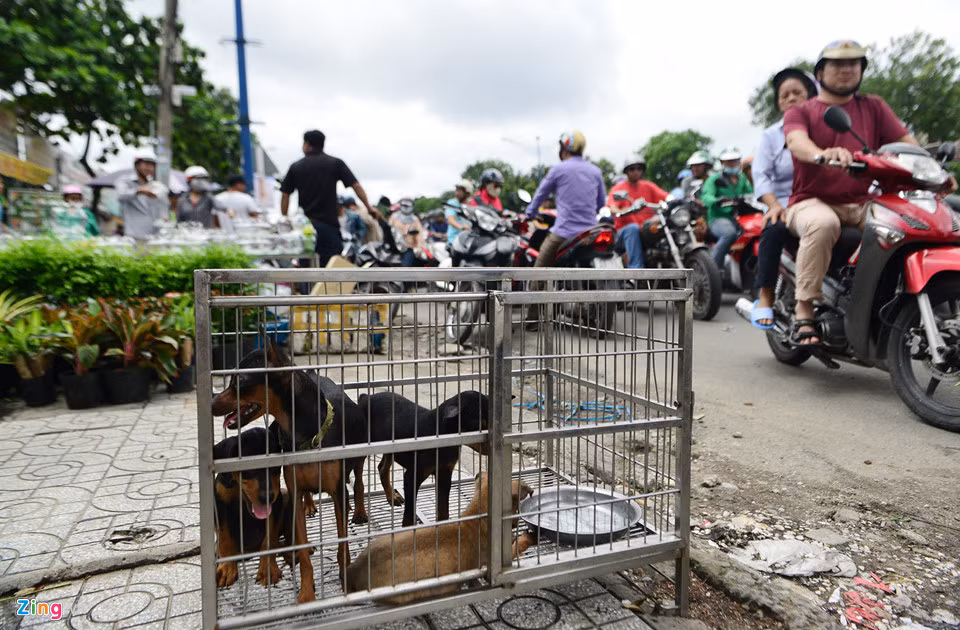 Một số loài động vật cảnh như chim, chó... cũng được bày bên đường để bán.