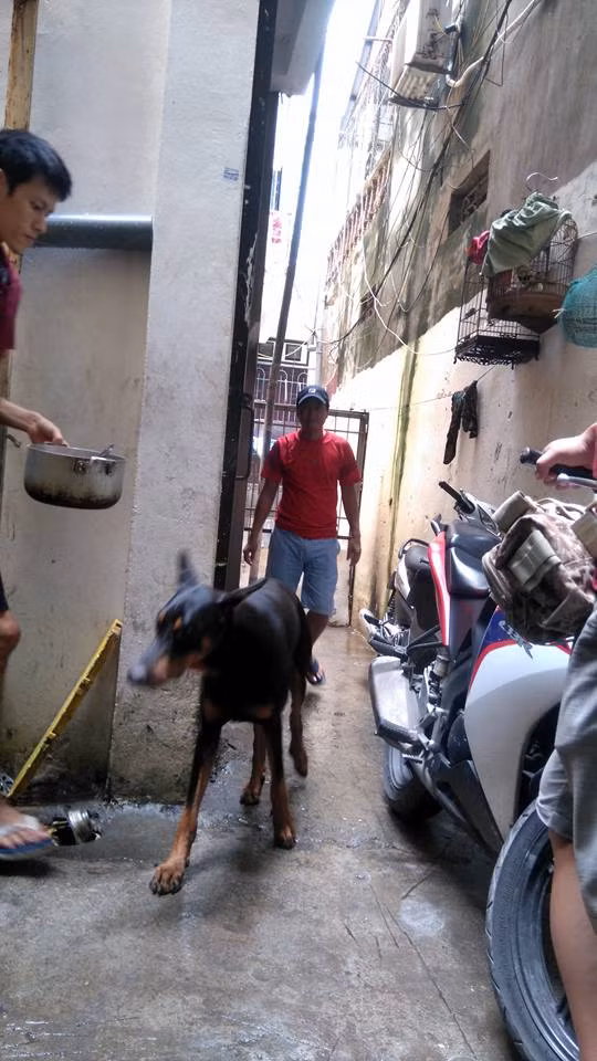 Hình ảnh bé Jin khỏe khoắn hơn, có thể tự đứng dậy, tự đi vệ sinh được anh Tùng chia sẻ cách đây 2 ngày. Ảnh trong bài: Facebook nhân vật.