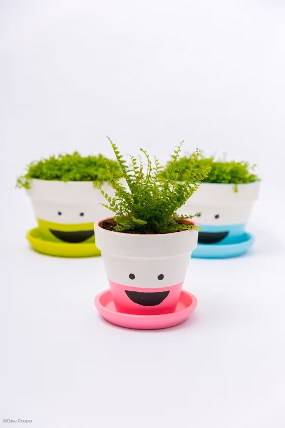Vẽ hình mặt cười lên những chậu hoa để tạo không khí tươi vui cho căn phòng.