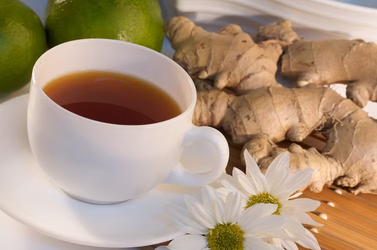 Gừng có thể được sử dụng tươi, sấy khô, nghiền thành bột hoặc như một loại dầu hoặc nước trái cây. Gừng còn được thêm vào như một nguyên liệu chế biến món ăn và mỹ phẩm. Gừng còn có tác dụng chống viêm và chống oxy hóa mạnh mẽ.