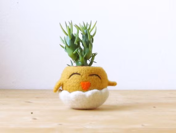 Chú gà con màu vàng cũng biến thành chậu trồng cây.