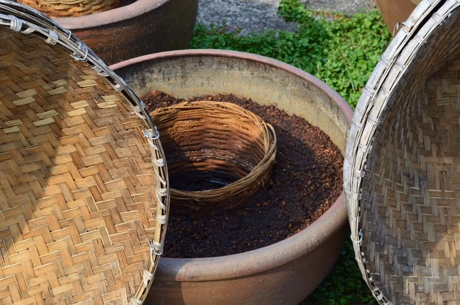 Nhà máy sản xuất tương bần truyền thống Xianshi Jiangyou tại phố Lô Châu là một trong số ít các cơ sở hiện vẫn sử dụng phương pháp lên men tự nhiên để sản xuất sản phẩm.