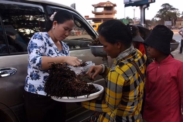 Dù vậy, món nhện chiên tại chợ côn trùng là đồ ăn khoái khẩu của người dân bản địa Campuchia.