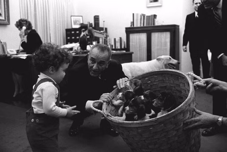 Tổng thống Lyndon B. Johnson cho cô con gái nhỏ xem giỏ cún con trong Nhà Trắng.