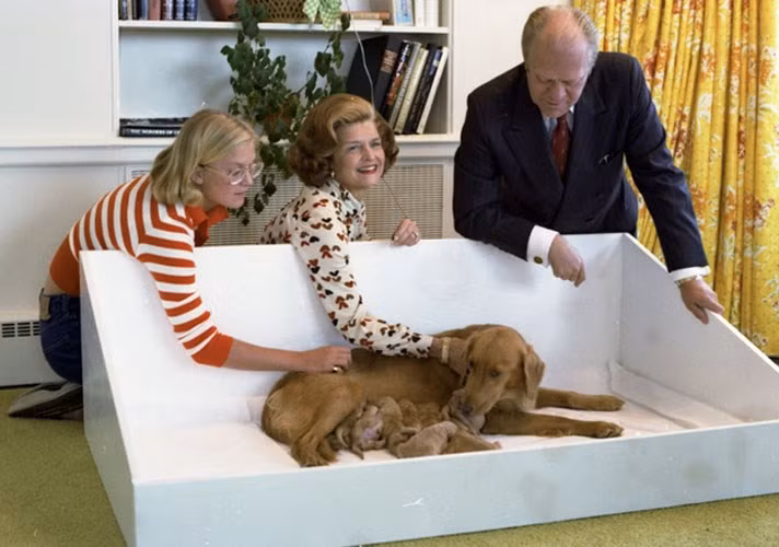 Gia đình Tổng thống Gerald Ford vuốt ve chú chó cưng Liberty khi nó đang cho bầy chó con bú.