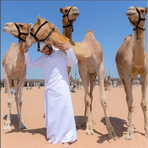 Thái tử Dubai Hamdan bin Mohammed bin Rashid Al Maktoum từng khiến nhiều người kinh ngạc khi chi tới 2,7 triệu USD mua con lạc đà đắt nhất thế giới năm 2008.