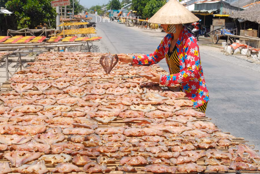 Khô cá lóc là món ăn thường có trong các gia đình người dân miền Tây. Vì vậy năm nay, các làng sản xuất món đặc sản miền Tây này nổi tiếng như An Giang và Đồng Tháp vẫn không đủ hàng bán cho thị trường. Theo kinh nghiệm của bà con địa phương, bình quân cứ 4kg cá tươi sẽ cho ra 1 kg khô. Vào ngày thường, giá cá lóc giao động từ 120.000 đến 200.000 đồng/kg, còn vào những ngày cận Tết giá tăng lên 350.000 - 400.000 đồng/kg (loại I).