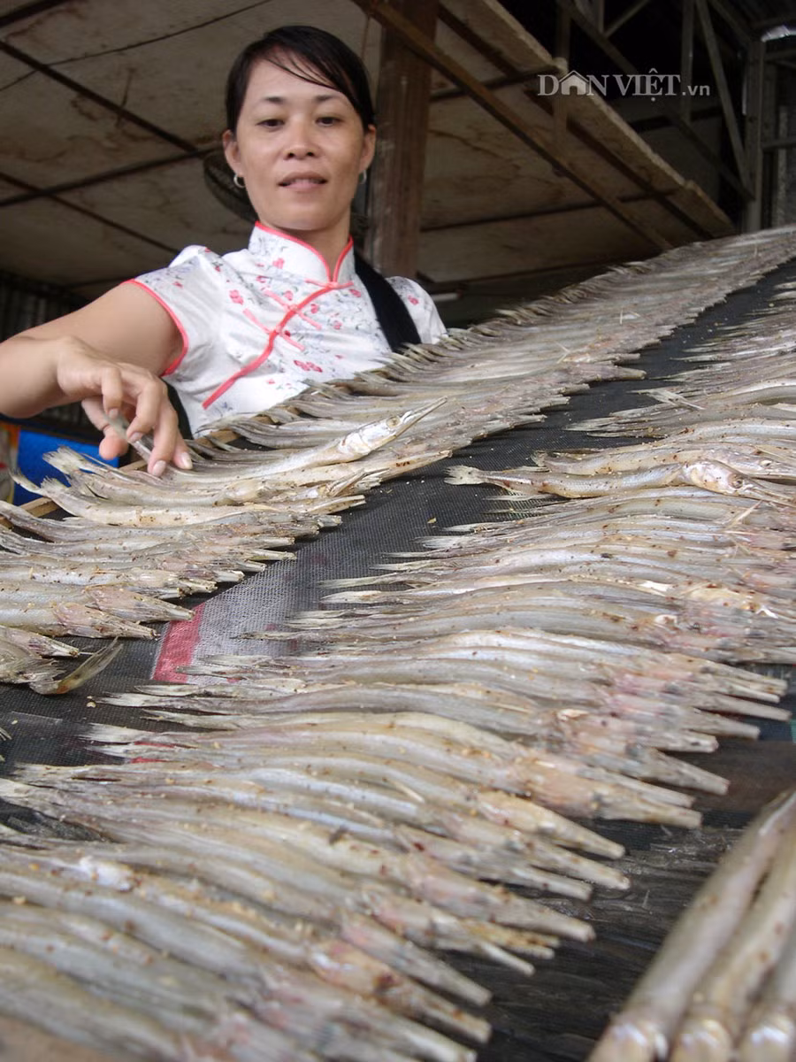 Khô cá lìm kìm - loại cá sống ở vùng nước lợ. Theo người dân, ở Kiên Giang và Sóc Trăng là nơi xuất hiện nhiều nhất loại cá này và được bắt lên làm khô. Chị Trần Thị Kim Yến, ở Rạch Giá (Kiên Giang), chủ cửa hàng bán khô lìm kìm cho biết: Cá lìm kìm rất hiếm, một năm xuất hiện một lần. Vì vậy, giá cá khô thường giao động từ 500.000 đến 550.000 đồng/kg.