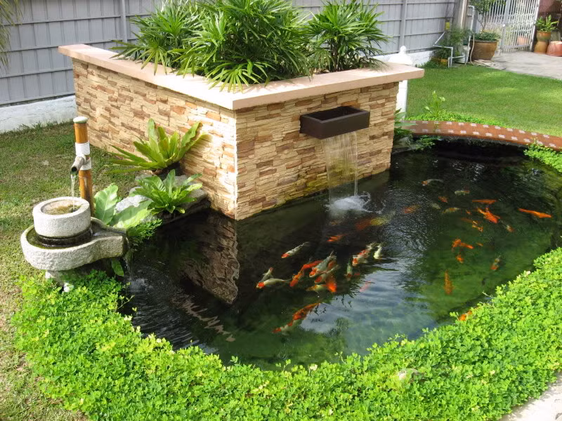 Một tiểu cảnh nước để nuôi cá.