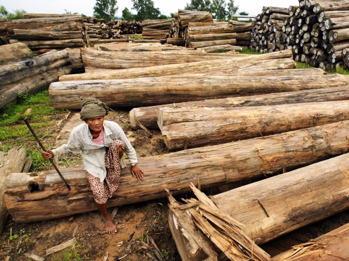 4. Myanmar: Đất nước này có một lực lượng lao động trẻ và tài nguyên thiên nhiên phong phú nên đang thu hút được rất nhiều nhà đầu tư nước ngoài. Tuy nhiên, mức sống của phần lớn dân số Myanmar vẫn chưa được cải thiện nhiều.