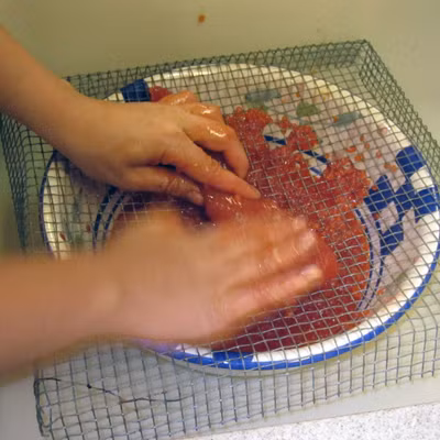 Công đoạn tách trứng cá hồi ra khỏi buồng trứng.