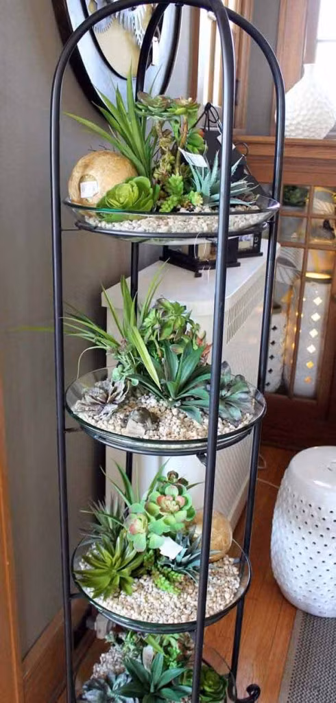 Giá trồng cây sáng tạo.