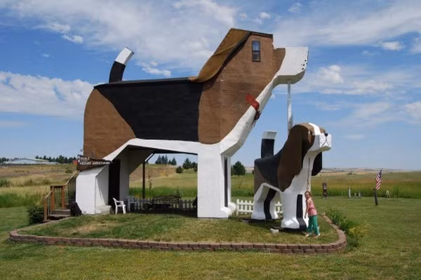 Khách sạn hình chú chó mang tên Dog Bark Park Inn là một địa điểm thú vị tại Cottonwood, Idaho. Ngôi nhà có chiều cao 9 mét được xây dựng từ năm 2003. Các du khách phải đặt trước thì mới có cơ hội ngủ qua đêm và thưởng thức bữa sáng ở trong ngôi nhà độc đáo này.