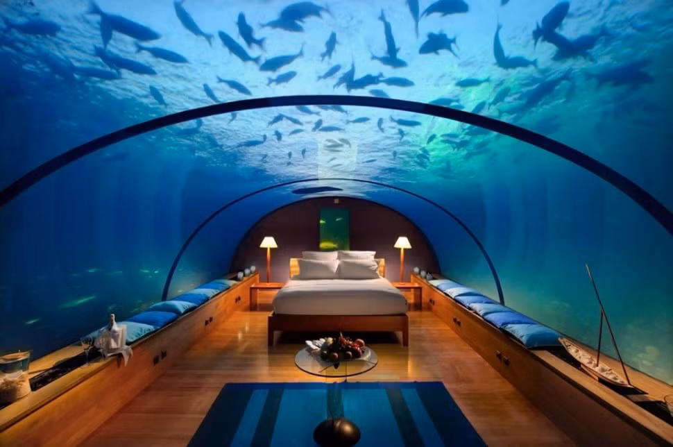 2. Resort Conrad Rangali Island ở Maldives: Đây là khu nghỉ dưỡng dưới nước đầu tiên trên thế giới. Đến đây, du khách sẽ được trải nghiệm cảm giác nằm trên giường ngủ và ngắm các sinh vật biển ngay trên đầu như cá mập, cá heo, cá đuối...