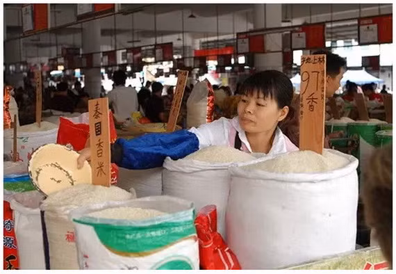 Báo cáo thường nhật tại Hồng Kông vào năm 2009 đã thông báo về việc các phương tiện truyền thông tại Singapore phát hiện ra việc sản xuất hàng loạt các loại gạo giả ở Thái Nguyên, một thị trấn ở tỉnh Thiểm Tây của Trung Quốc.